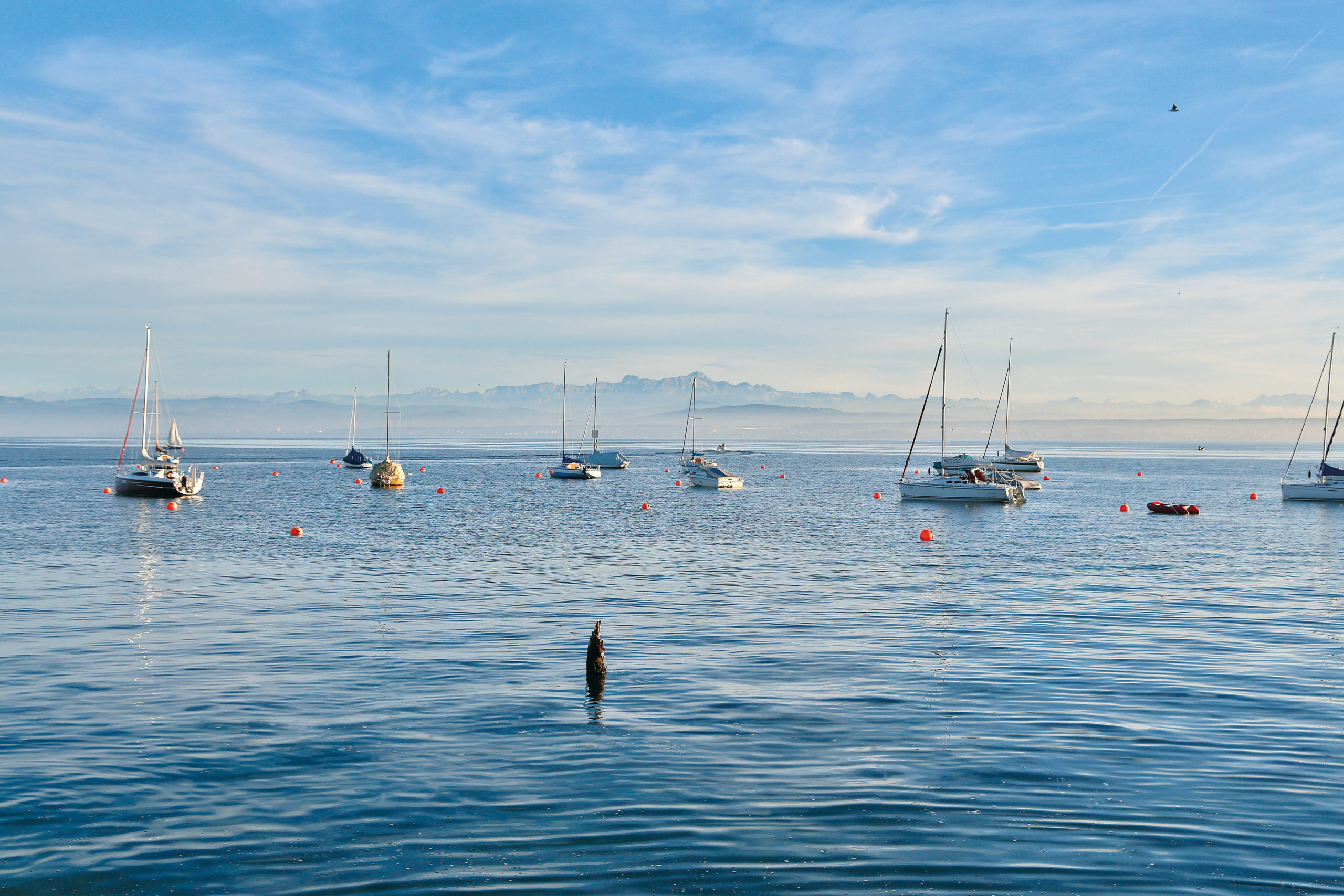 Am Bodensee sorgt gerade der Föhn für besondere Windverhältnisse © Achim Mende/Internationale Bodensee Tourismus GmbH