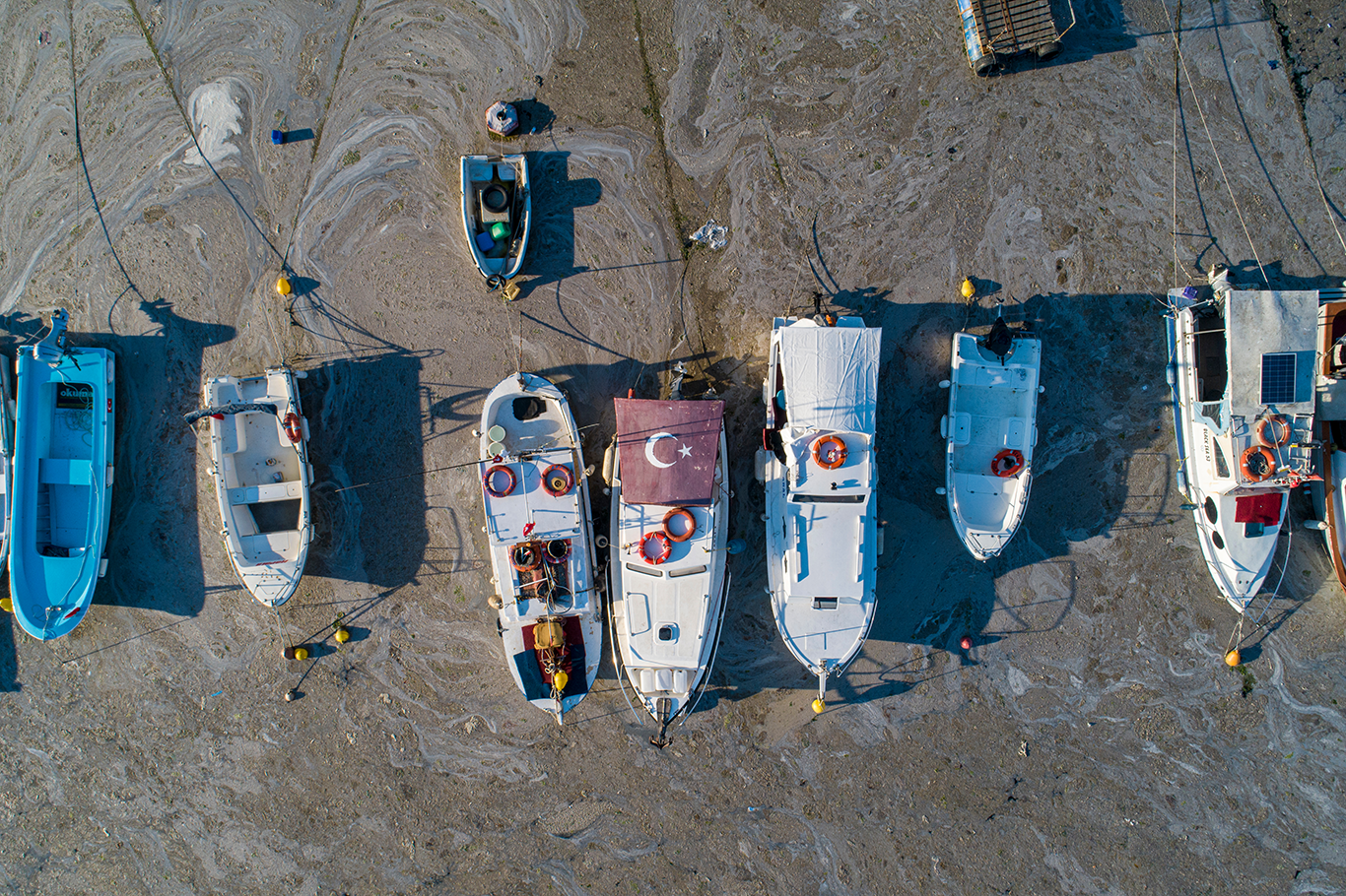 Istanbul Anfang Juni © Huseyin Aldemir / Shutterstock
