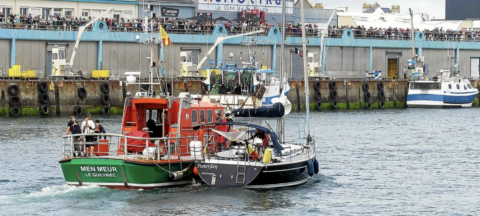 Orca Angriff Segelyacht Bretagne