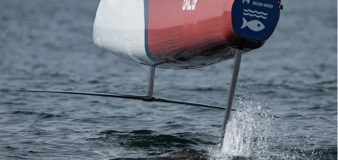SailGP T-Foil