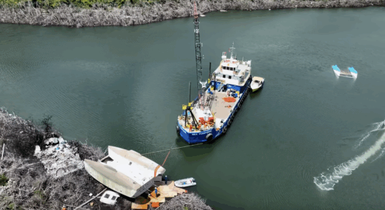 Katamaran in den Mangroven: Kann der Kran das Schiff umdrehen? Geht die Rechnung auf?