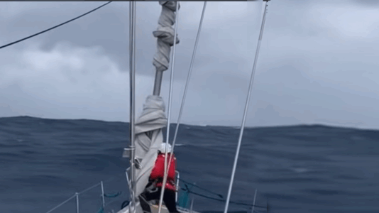 Unsere AI-Bullshit Top 7: Groteske KI-Segelvideos überschwemmen die Netzwerke