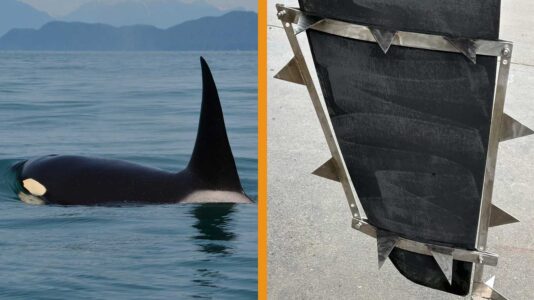 Orca Abwehrsystem: Werftbetrieb stellt Genehmigungsantrag bei spanischen Behörden