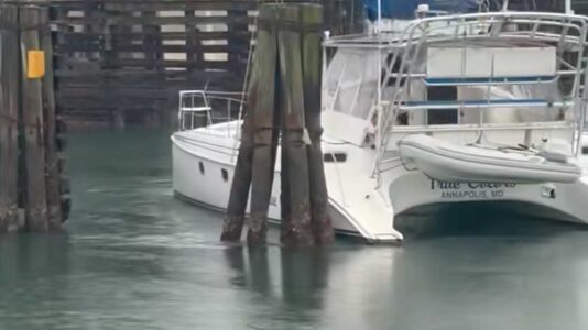 Katamaran kracht gegen Dalben: Wie sehr ein erster Eindruck täuschen kann