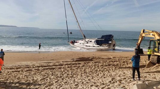 Yacht strandet vor portugiesischer Küste: Crew gibt Orcas als Grund an. Stimmt das?