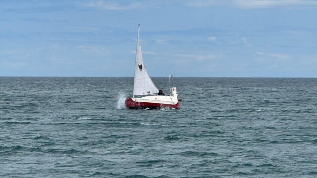 Yann Quenet Baluchon