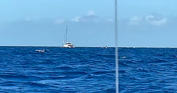 Mysteriöser Todesfall auf Katamaran vor Belize – Yacht treibt tagelang auf See
