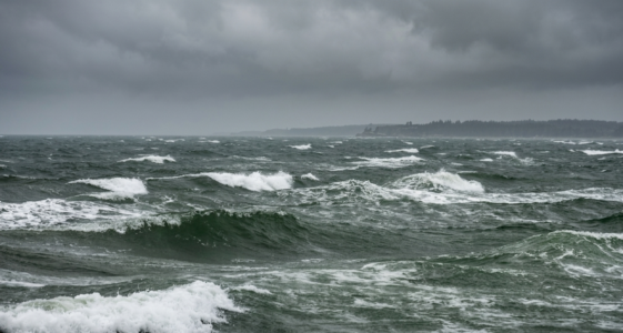 Ostsee: Warum der große Einstrom nun doch ausbleibt – und was dahinter steckt