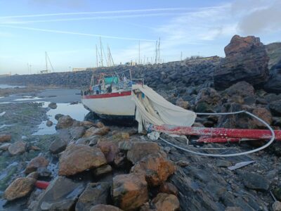 Bei Hafenansteuerung auf die Felsen: Vom Heli abgewinscht – Hunde schwimmen an Land