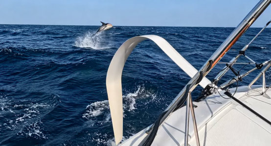 Üben im härtesten Offshore-Circuit: Vendée-Globe-Helden messen sich – Ex Malizianer gewinnt