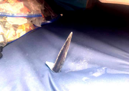 Mitten auf dem Atlantik: Rumpf vom Marlin-Speer durchbohrt – Was dahinter steckt