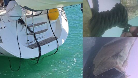 Orcas, Tampen, Fischernetz – die unglaubliche Nacht der Segelyacht Peppa vor der marokkanischen Küste.