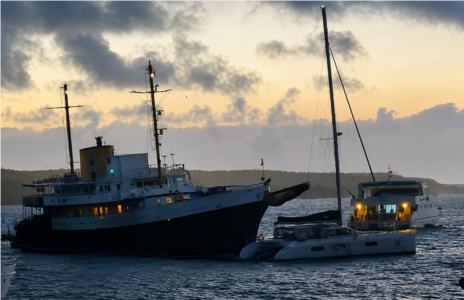 Albtraum vor Anker: Kreuzfahrtschiff pflügt durch Yachtfeld