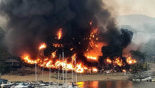 Waldbrand zerstört fast komplette Soling-Flotte des Real Club Náutico de Madrid