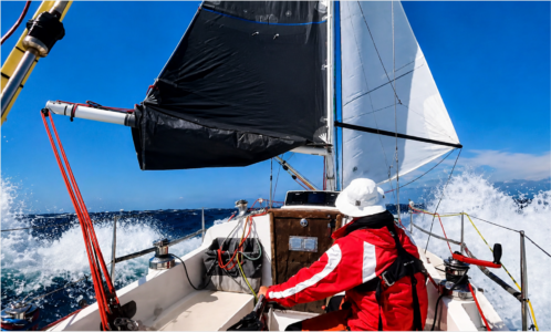 Faszination Segeln: 34 Fuß-Oldtimer surft im Schmetterling-Modus mit 16,4 Knoten