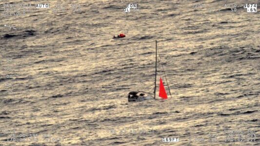 Beneteau Oceanis 51.1 sinkt nach Wal-Kollision: Vier Segler nach 17 Stunden gerettet