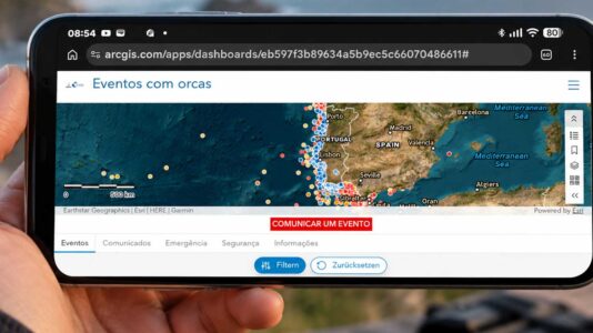 Orca Vorfälle häufen sich erneut: Portugal startet offizielle Info-Karte für Segler – Warum eigentlich?