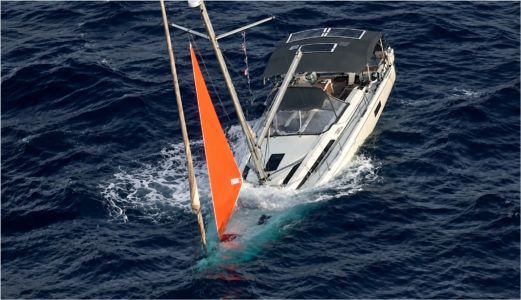 Gesunkene Beneteau Oceanis 51.1: Skipper erklärt die Wal-Kollision im Pazifik